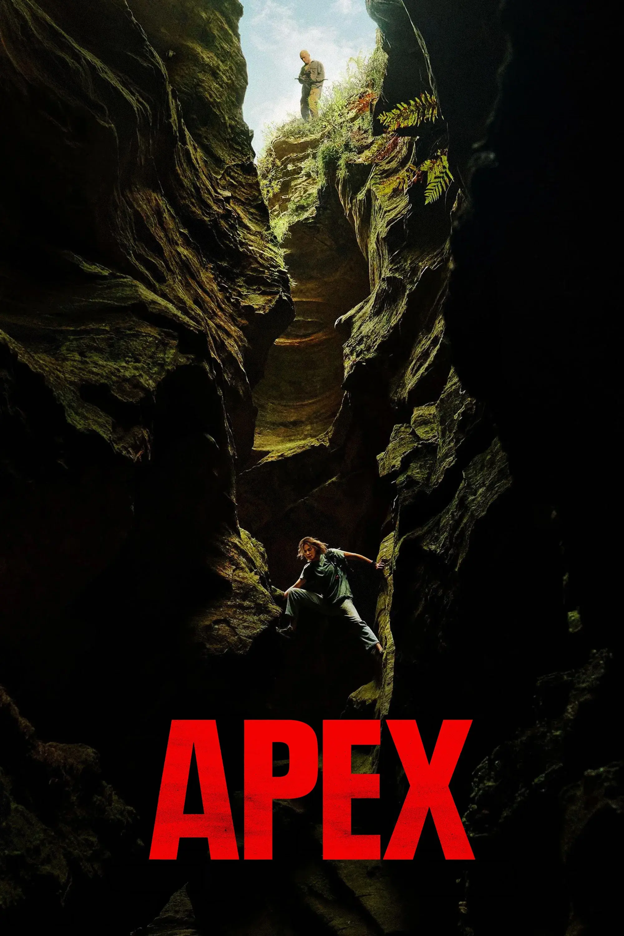 Apex poster