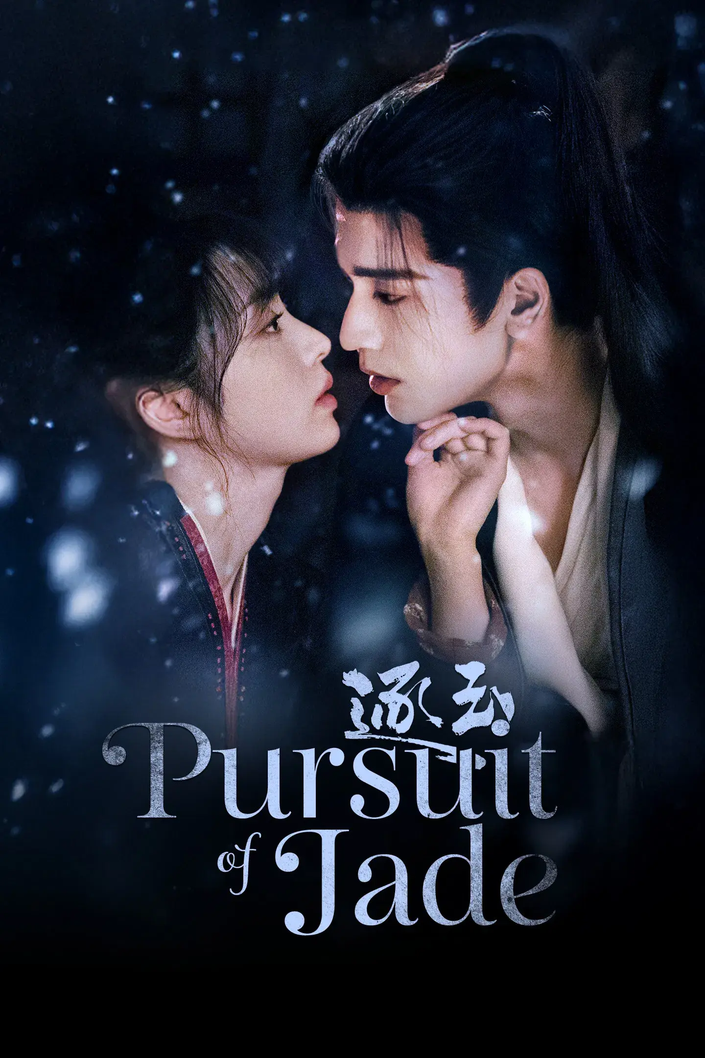 Pursuit of Jade poster