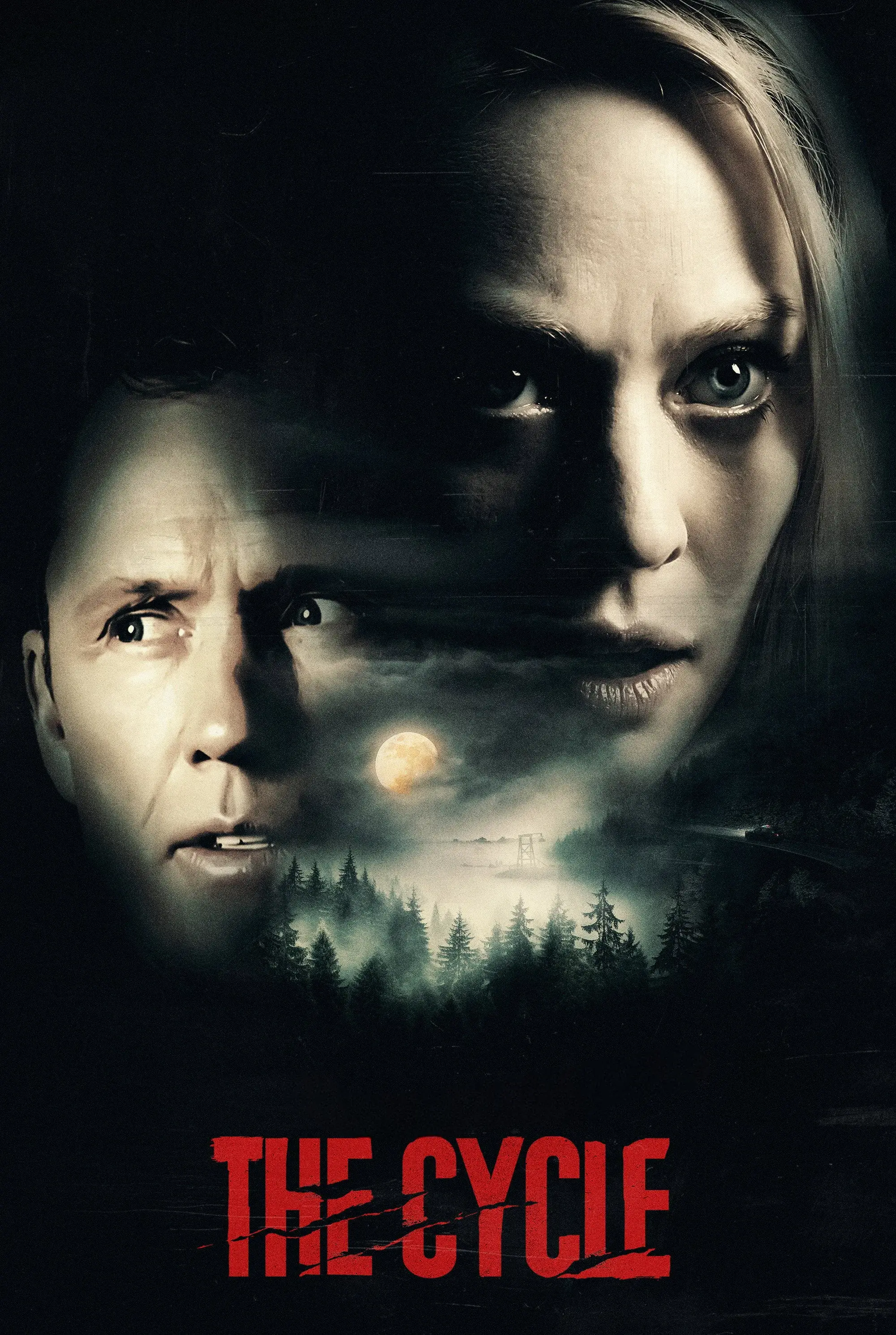 The Cycle poster